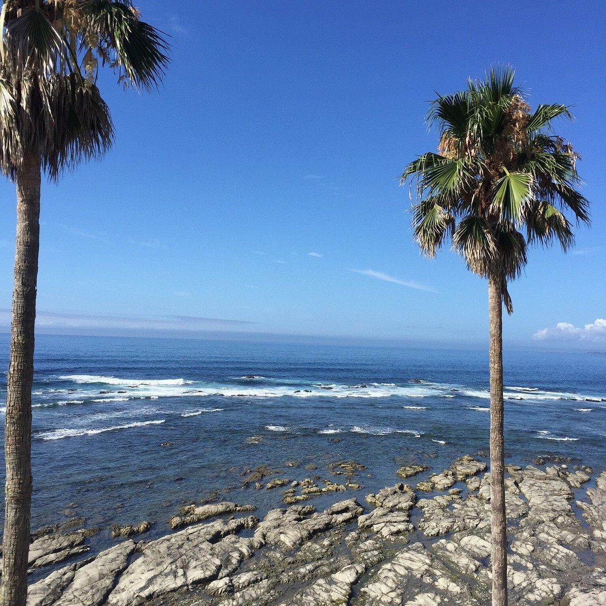 🏖️ 시로사키 해수욕장 이미지 5